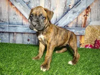 processed/2e0c781c-137b-45e9-b35c-f46ae3b52ab0/listing/ec15021d-e41d-4d93-bad0-43208b709aa4/6fa852c5-f1d0-42e3-855d-6521871cc624