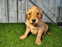 processed/2e0c781c-137b-45e9-b35c-f46ae3b52ab0/listing/ef243d52-e972-4285-8be0-59f6d6fe3935/8a4517bc-181b-487e-8b36-b731cf112ce5