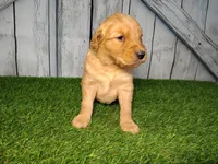 processed/2e0c781c-137b-45e9-b35c-f46ae3b52ab0/listing/ef243d52-e972-4285-8be0-59f6d6fe3935/a00214ad-b346-4f64-858d-04e7c7f45a5f