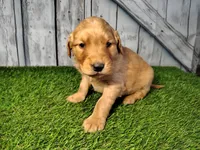 processed/2e0c781c-137b-45e9-b35c-f46ae3b52ab0/listing/ef243d52-e972-4285-8be0-59f6d6fe3935/c9b046e5-3fc1-49a1-a4ea-a762568b2ade