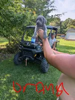 blue female, a female Weimaraner for sale in Prentiss, MS – 1 of 7