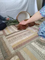 processed/2e198c47-4769-4c38-b3ea-67c9f9cde43d/facility/9ceb842f-bb8d-4d3a-b73c-83e7c0e90754