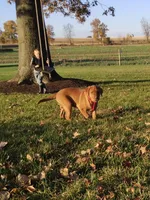 processed/2e198c47-4769-4c38-b3ea-67c9f9cde43d/facility/eee98a2a-7218-4ff2-b8db-1d8bbaac3edc