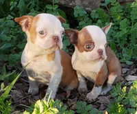 processed/2e1a0176-7ce2-4dfd-8c7d-e15d1324b21e/listing/199dc6cd-3fbf-4b1f-b5f3-d57040684d5e/13506e08-1c0e-48e3-bc40-50e033d1ef05