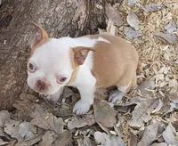 processed/2e1a0176-7ce2-4dfd-8c7d-e15d1324b21e/listing/199dc6cd-3fbf-4b1f-b5f3-d57040684d5e/80e04b6c-650f-4a6a-8dc2-d29e9e69c692