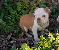 processed/2e1a0176-7ce2-4dfd-8c7d-e15d1324b21e/listing/199dc6cd-3fbf-4b1f-b5f3-d57040684d5e/9e3939ad-b24f-4a72-af94-336ede78b800