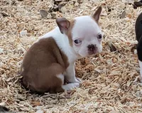 processed/2e1a0176-7ce2-4dfd-8c7d-e15d1324b21e/listing/199dc6cd-3fbf-4b1f-b5f3-d57040684d5e/af430200-479d-4cf2-8857-f31dfcf37493