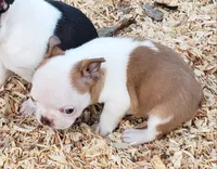 processed/2e1a0176-7ce2-4dfd-8c7d-e15d1324b21e/listing/199dc6cd-3fbf-4b1f-b5f3-d57040684d5e/c9eee3c9-3017-4f95-8efb-00cec7fea091