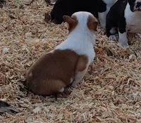 processed/2e1a0176-7ce2-4dfd-8c7d-e15d1324b21e/listing/199dc6cd-3fbf-4b1f-b5f3-d57040684d5e/ebc4dd04-196a-4c7b-ad13-8c68ce08a892