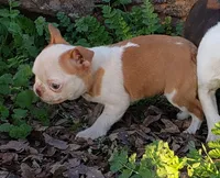 processed/2e1a0176-7ce2-4dfd-8c7d-e15d1324b21e/listing/199dc6cd-3fbf-4b1f-b5f3-d57040684d5e/ee82c52c-3ff5-4693-8ae3-663d2d1c4b4b