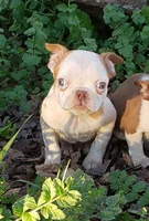 processed/2e1a0176-7ce2-4dfd-8c7d-e15d1324b21e/listing/199dc6cd-3fbf-4b1f-b5f3-d57040684d5e/efb7b707-97c3-4538-8c3a-d190e91d4c60