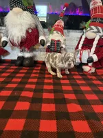 processed/2e2b8e5d-8027-446c-b145-92732b82b8e6/listing/846ab22e-0926-4587-8a56-4860a84e2eff/226d8a57-7686-4be5-8a96-11e1a9292ef0