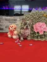 processed/2e2b8e5d-8027-446c-b145-92732b82b8e6/listing/846ab22e-0926-4587-8a56-4860a84e2eff/54c47226-3fe0-4e12-a603-4b6aba7aea2f