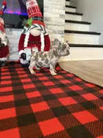 processed/2e2b8e5d-8027-446c-b145-92732b82b8e6/listing/846ab22e-0926-4587-8a56-4860a84e2eff/73db301c-0253-458e-aec2-11a6bb9a3971