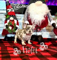 processed/2e2b8e5d-8027-446c-b145-92732b82b8e6/listing/846ab22e-0926-4587-8a56-4860a84e2eff/8092e90b-db59-4a34-985c-955c998aef22