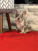 processed/2e2b8e5d-8027-446c-b145-92732b82b8e6/listing/846ab22e-0926-4587-8a56-4860a84e2eff/87d6c609-276b-4d09-a6aa-fabdca1cb2a1