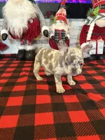 processed/2e2b8e5d-8027-446c-b145-92732b82b8e6/listing/846ab22e-0926-4587-8a56-4860a84e2eff/c0d543c1-1f3f-4e07-a94d-87ec7a6d7102