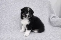 processed/2e2bbbdc-3f4d-43cf-b882-0cf79741088e/listing/24685852-f4d3-4e7e-bf10-f6e4ffdee448/718bd516-6385-4b20-b2e9-3b0accd20e78