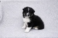 processed/2e2bbbdc-3f4d-43cf-b882-0cf79741088e/listing/24685852-f4d3-4e7e-bf10-f6e4ffdee448/f86ae3eb-d27f-4fdc-bb9a-ae6f78d580d1