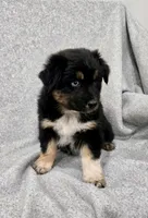 processed/2e2bbbdc-3f4d-43cf-b882-0cf79741088e/listing/371fa8b0-1c68-499a-b674-0c357e787850/aa56932d-c64b-448a-92ff-3d2c19000841