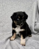 processed/2e2bbbdc-3f4d-43cf-b882-0cf79741088e/listing/371fa8b0-1c68-499a-b674-0c357e787850/e46b84f4-f94c-44af-8ddd-4bb97633b9e6