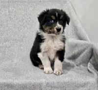 processed/2e2bbbdc-3f4d-43cf-b882-0cf79741088e/listing/96ac897a-6973-43ce-921b-7685bde6d63d/b301f70a-ab87-45ac-8d41-5ac1c630e740