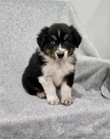 processed/2e2bbbdc-3f4d-43cf-b882-0cf79741088e/listing/96ac897a-6973-43ce-921b-7685bde6d63d/d0a493f4-a29e-47d6-89df-adc74232d5ae