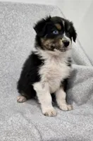 processed/2e2bbbdc-3f4d-43cf-b882-0cf79741088e/listing/96ac897a-6973-43ce-921b-7685bde6d63d/d232dc1d-a03c-47f1-bdb6-8b223b7db5fd