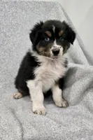 processed/2e2bbbdc-3f4d-43cf-b882-0cf79741088e/listing/96ac897a-6973-43ce-921b-7685bde6d63d/dab32572-93bc-4a45-9ffa-02b4e456380c