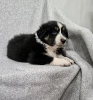 processed/2e2bbbdc-3f4d-43cf-b882-0cf79741088e/listing/a1f9624c-97d9-43ff-98fd-5ef79d828d5d/20aaa247-403c-4e0b-a797-68a11c1dc69a