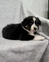 processed/2e2bbbdc-3f4d-43cf-b882-0cf79741088e/listing/a1f9624c-97d9-43ff-98fd-5ef79d828d5d/999f78ed-119a-42c3-89cc-90b979f7a663