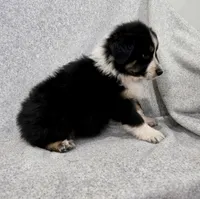 processed/2e2bbbdc-3f4d-43cf-b882-0cf79741088e/listing/a1f9624c-97d9-43ff-98fd-5ef79d828d5d/b6b27d4f-b272-4f87-9102-5dfb7c5e93f2