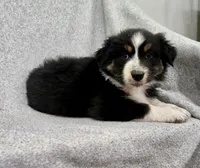 processed/2e2bbbdc-3f4d-43cf-b882-0cf79741088e/listing/a1f9624c-97d9-43ff-98fd-5ef79d828d5d/e4f68b15-389e-4bc5-bd71-f722c853d494