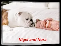 processed/2e2c3d4e-f9b5-4d87-80a9-42805a89f825/facility/1a80d12e-a2a9-4f7b-a263-c7e77737bf52