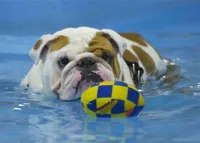 processed/2e2c3d4e-f9b5-4d87-80a9-42805a89f825/facility/63d720e4-7e67-4e9a-a147-e90e2bdbf54f