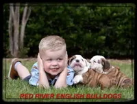 processed/2e2c3d4e-f9b5-4d87-80a9-42805a89f825/facility/77da60bf-3781-49b8-8415-c9b59ac927a0