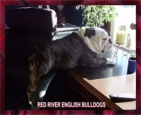 processed/2e2c3d4e-f9b5-4d87-80a9-42805a89f825/facility/d9f2a859-ad8c-482a-b52c-46daba3504a3