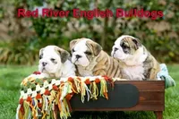 processed/2e2c3d4e-f9b5-4d87-80a9-42805a89f825/facility/f49c35fb-adee-4abe-a155-3fe779e4b670