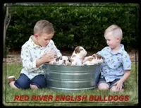 processed/2e2c3d4e-f9b5-4d87-80a9-42805a89f825/facility/f81c37ba-04a8-410d-a902-58f13b96d282