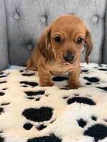 processed/2e2e831e-3912-4f19-baad-d1a66967716d/listing/e2c3833e-7482-4baa-a034-042d67515c5a/2dccbc62-93be-4f78-9cdb-a544e201e0d8