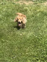 processed/2e2e831e-3912-4f19-baad-d1a66967716d/listing/e2c3833e-7482-4baa-a034-042d67515c5a/38c416ab-24b4-49a9-9e3d-e2ffc4e116ce