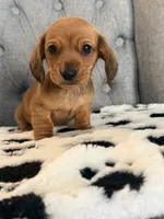 processed/2e2e831e-3912-4f19-baad-d1a66967716d/listing/e2c3833e-7482-4baa-a034-042d67515c5a/a829d502-588f-4d9f-b42a-c7f7584c7871