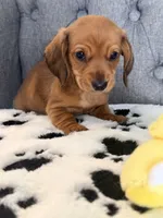 processed/2e2e831e-3912-4f19-baad-d1a66967716d/listing/e2c3833e-7482-4baa-a034-042d67515c5a/c69008b5-02e4-4f61-8648-7a515f88a7c5