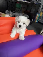 processed/2e31f3d7-8a56-4ab5-8b01-a8da2e941983/listing/46e24a34-7f37-4d84-b847-24afb2ad85e0/407f8d85-6e67-46c4-8564-87fd1c1c7706