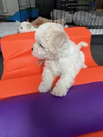 processed/2e31f3d7-8a56-4ab5-8b01-a8da2e941983/listing/46e24a34-7f37-4d84-b847-24afb2ad85e0/9d5c1b23-ac71-4bf8-afdf-f5e111ed6cef