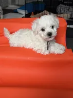 processed/2e31f3d7-8a56-4ab5-8b01-a8da2e941983/listing/60977f35-36a4-4384-aca0-fa287367eae7/4a325c4d-74c1-4104-8f40-74cc031a3739