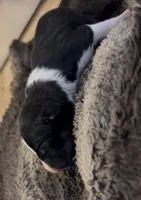 processed/2e336671-4347-40c0-98bc-4364f858f8bb/listing/608ef9fa-1bd8-4b67-9940-9ca2d2efd056/3ca88990-987c-4200-aa0c-8ef46fd0d67e