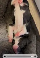 processed/2e336671-4347-40c0-98bc-4364f858f8bb/listing/608ef9fa-1bd8-4b67-9940-9ca2d2efd056/5ba92b22-7d2e-4180-a12c-e64e7f147e1e