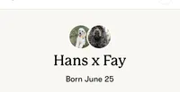 Fay b/t girl, a female Cockapoo for sale in Haines City, FL – 3 of 3