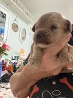 processed/2e38420c-1744-4ee7-8b06-d2b59c665361/listing/4c56b81b-6173-460f-baf5-b3ac9ebe6c09/35eee5ca-540b-4b7b-b2e2-77fc7eb49e9a